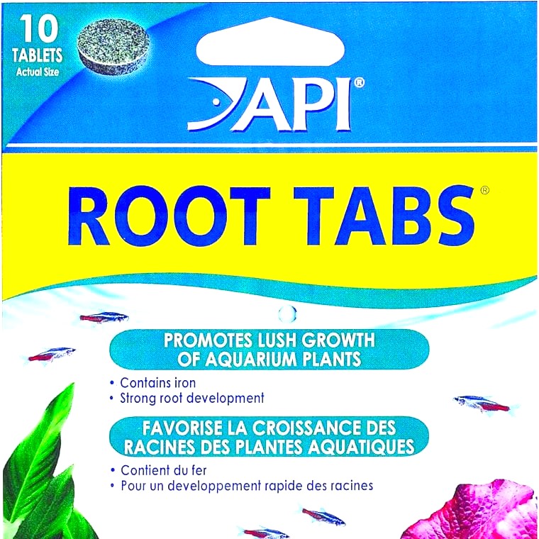 API Root Tabs