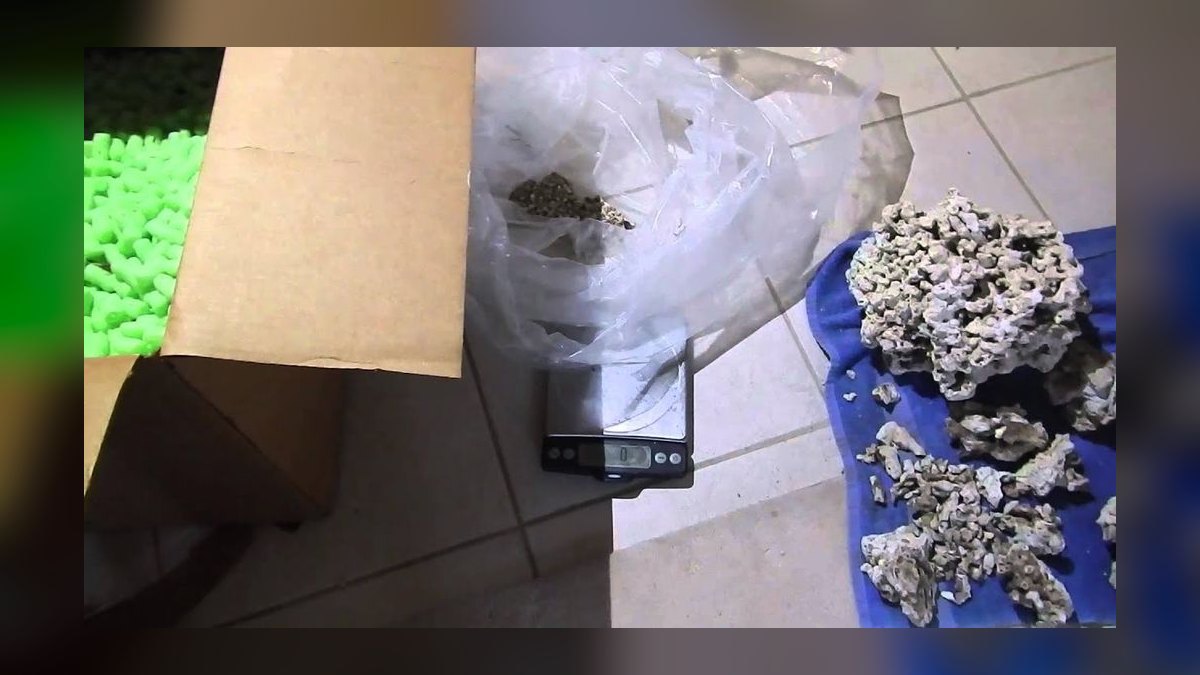 Top 10 Live Rock Sources for Curing and Aquascaping in 2027 — figure 10