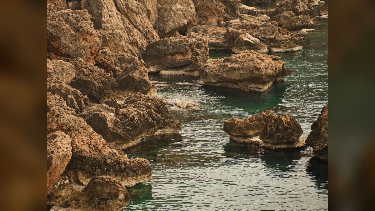 Top 10 Live Rock Sources for Curing and Aquascaping — figure 3