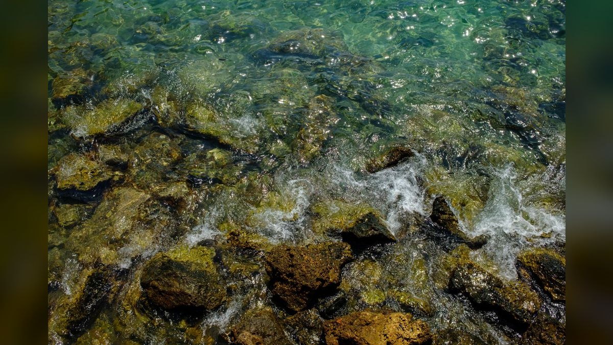 Top 10 Live Rock Sources for Curing and Aquascaping — figure 4