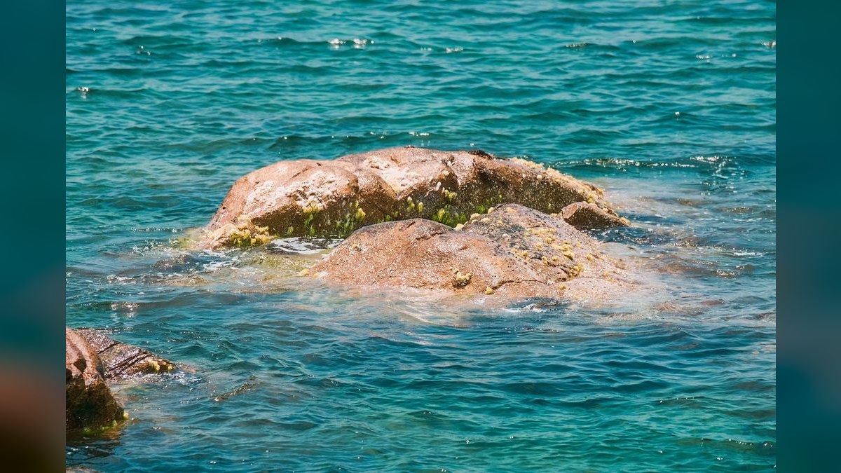 Top 10 Live Rock Sources for Curing and Aquascaping — figure 5