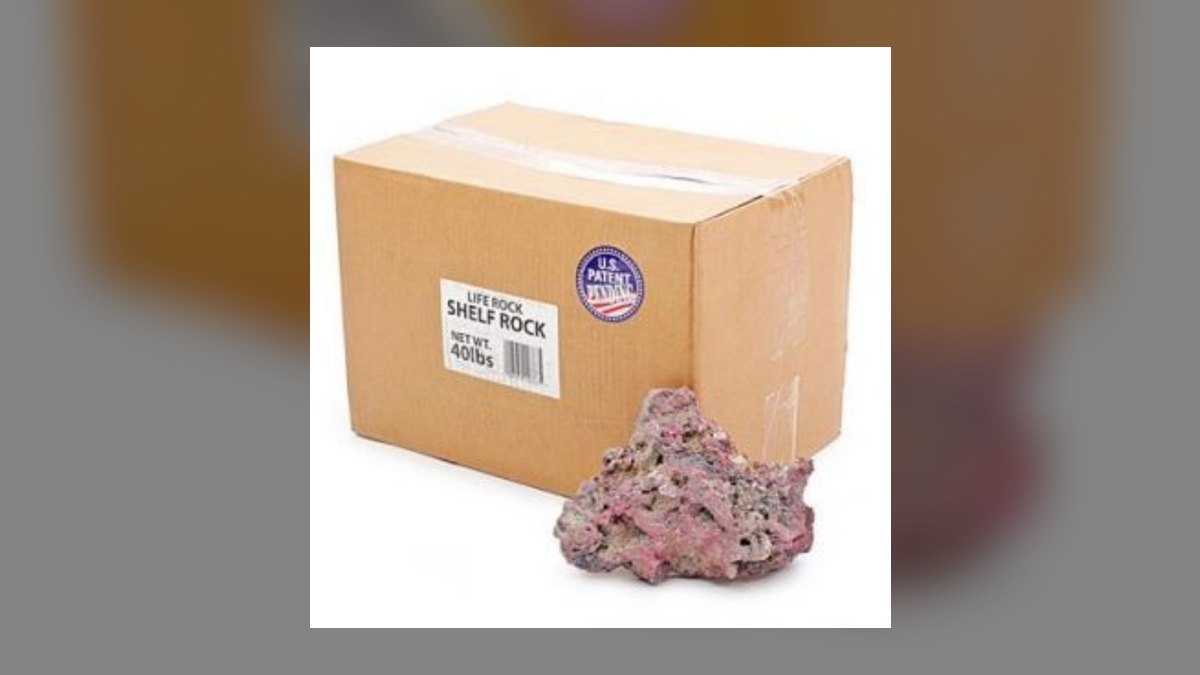 Top 10 Live Rock Sources for Curing and Aquascaping in 2027 — figure 9