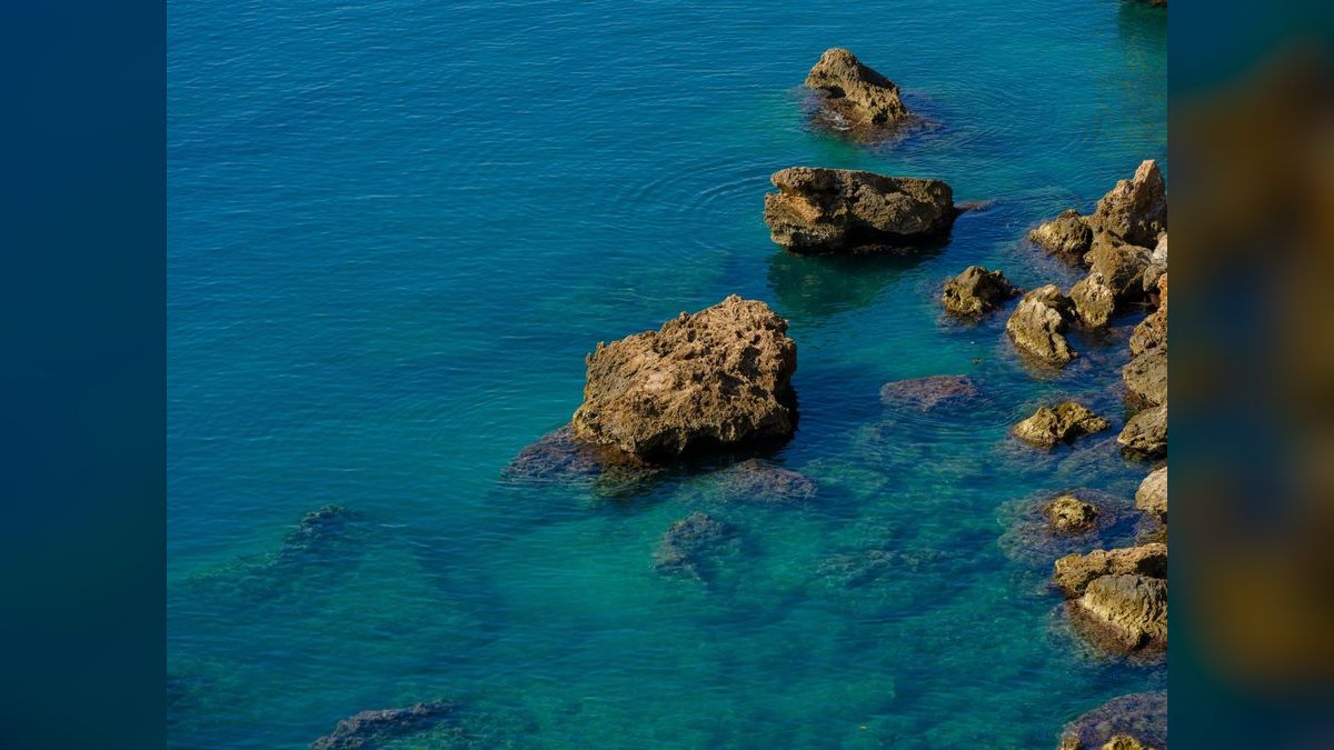 Top 10 Live Rock Sources for Curing and Aquascaping in 2027