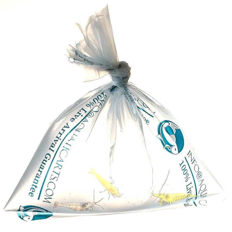Kordon heavy-duty fish shipping bags