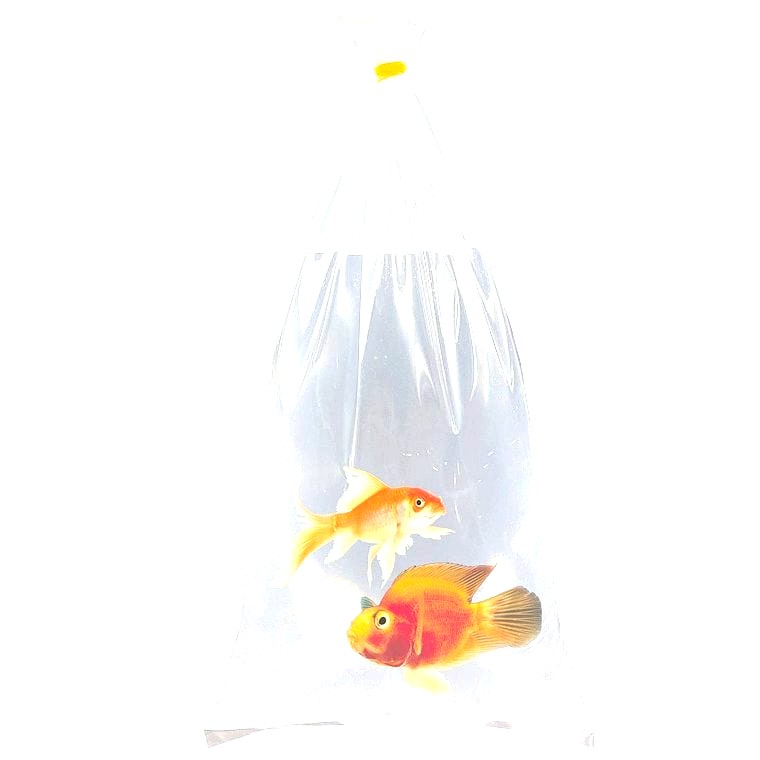 Kordon Heavy-Duty Fish Shipping Bags (3-mil)