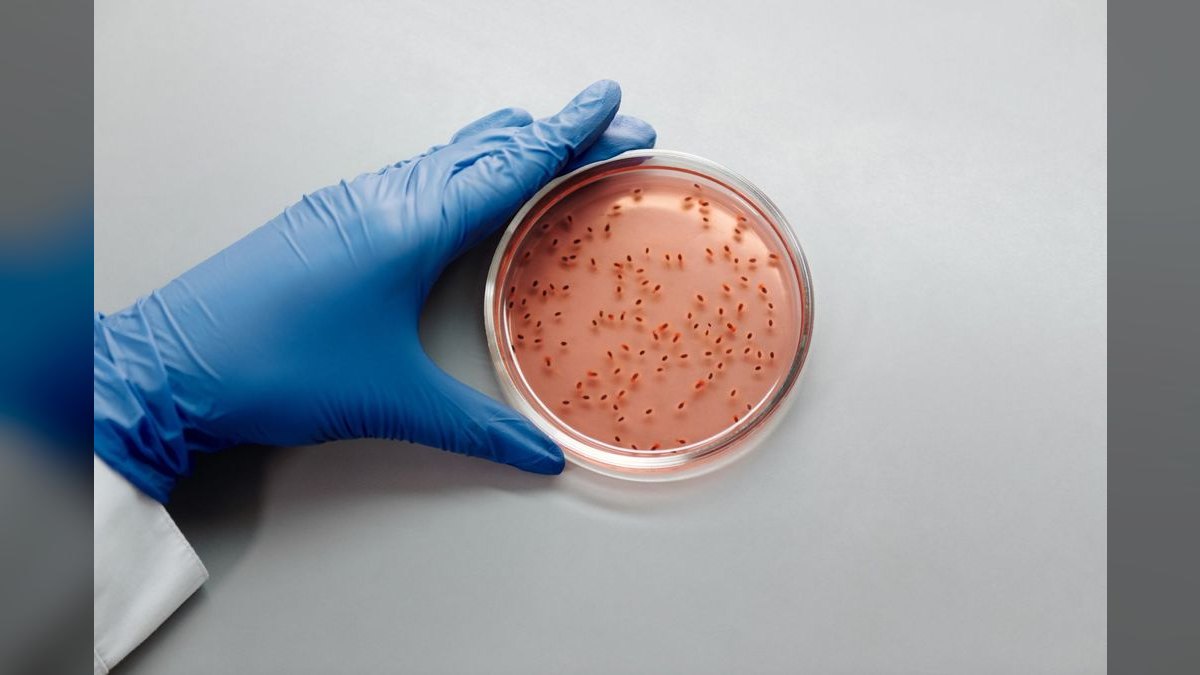 Top 10 Aquarium Bacteria Starters for Cycle Acceleration in 2027