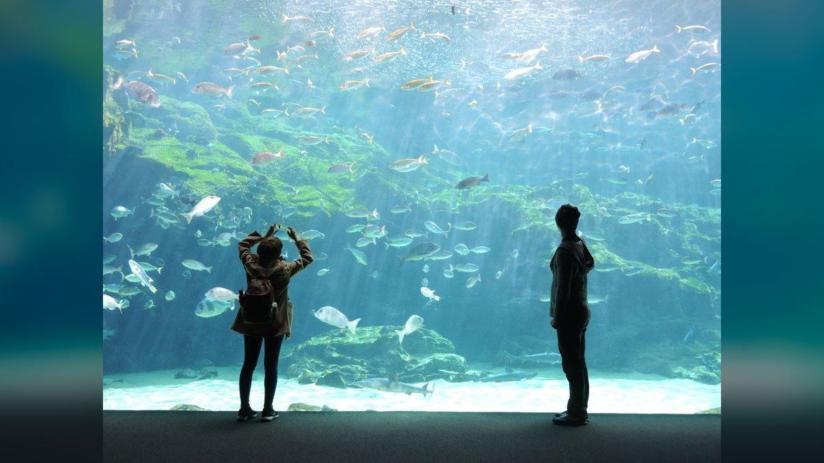 Top 10 Aquarium Submersible Pumps for Water Circulation — figure 4