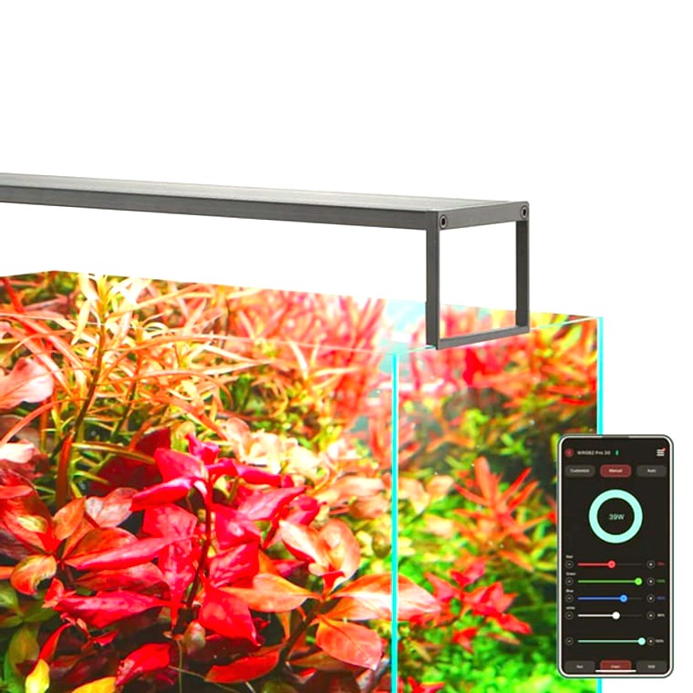 Chihiros WRGB II Slim 60cm