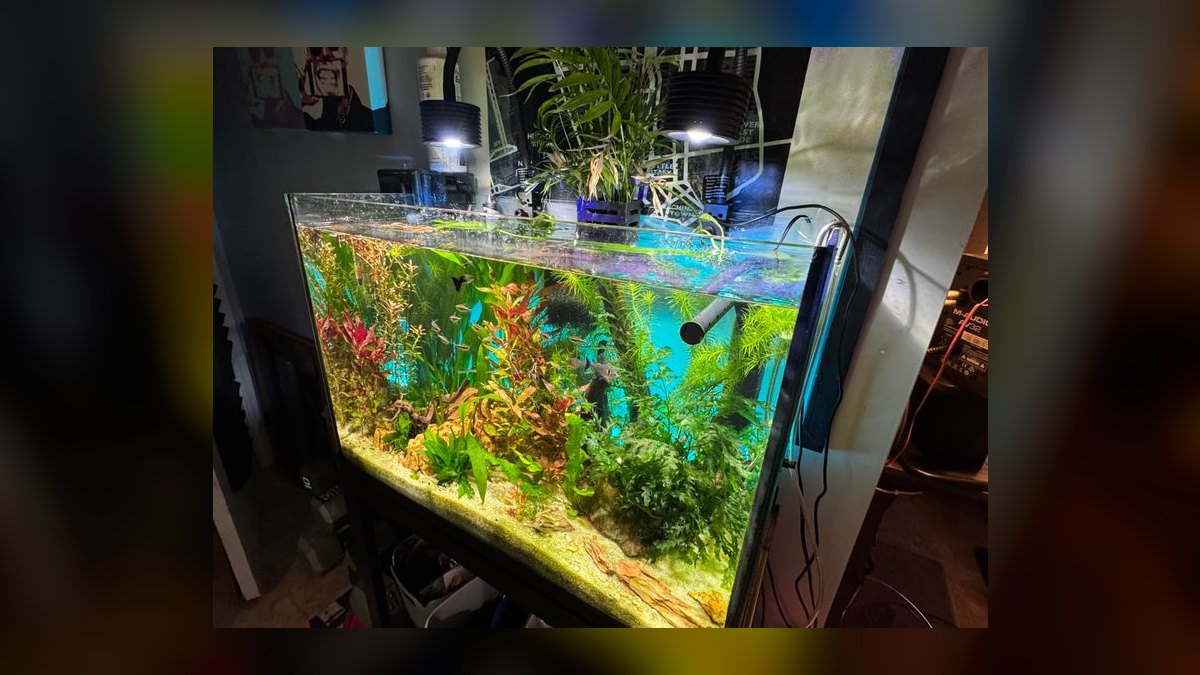 Top 10 LED Light Fixtures for Planted Aquariums Under $200 in 2027 — figure 10