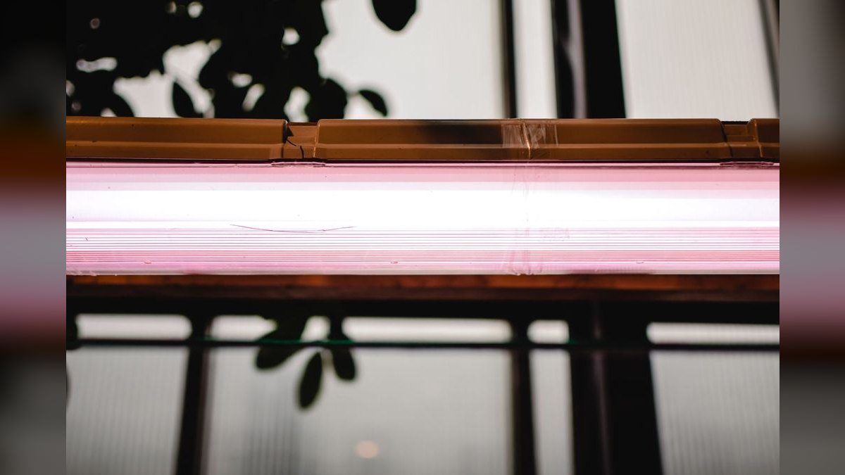 Top 10 LED Light Fixtures for Planted Aquariums Under $200 — figure 6
