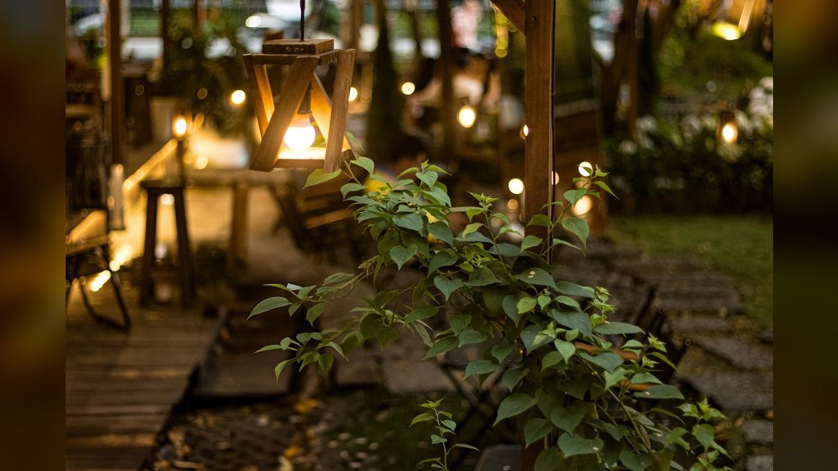 Top 10 LED Light Fixtures for Planted Aquariums Under $200 in 2027
