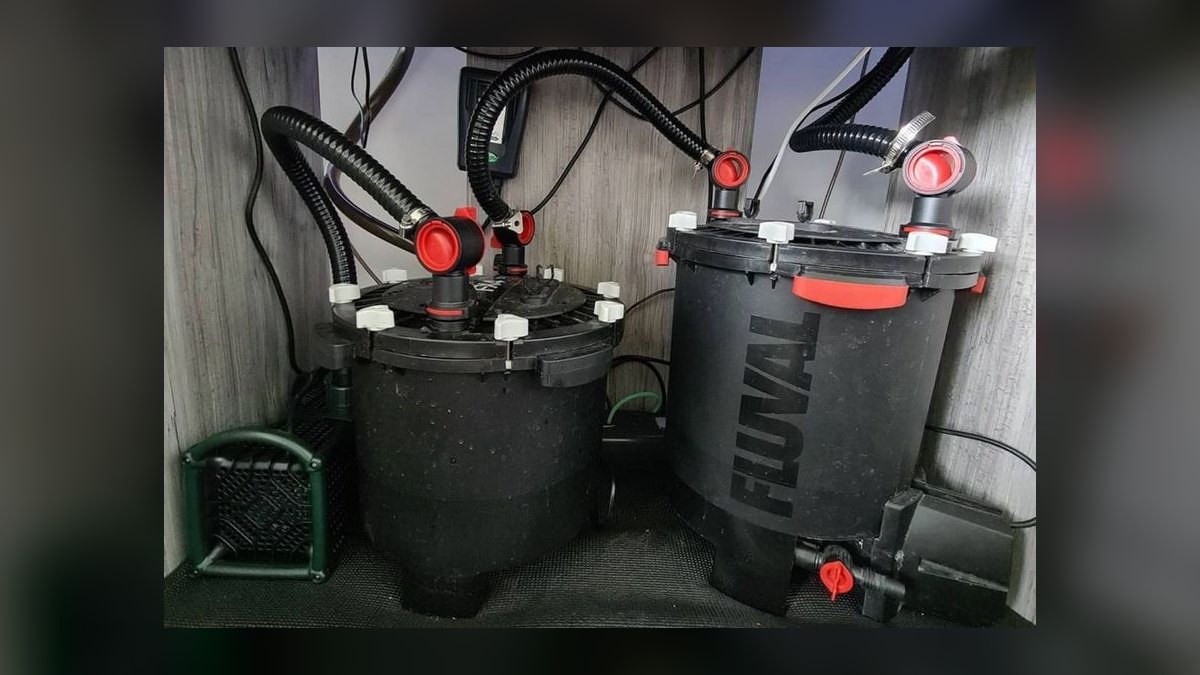 Top 10 Canister Filters for Fish-Only Saltwater Tanks in 2027