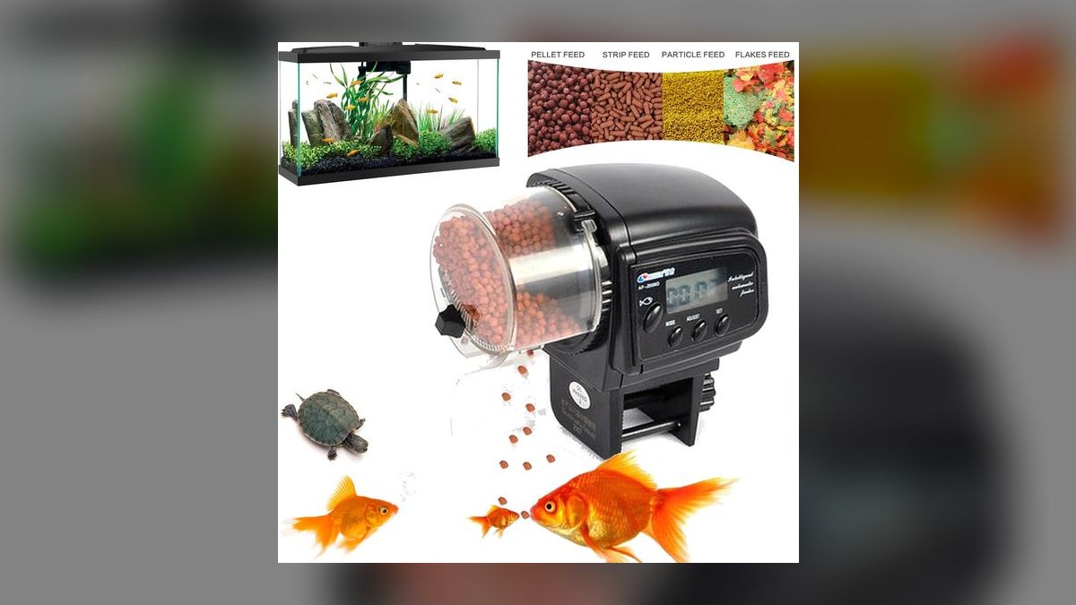 Top 10 Automatic Fish Feeders for Vacation-Proof Feeding in 2027 — figure 9