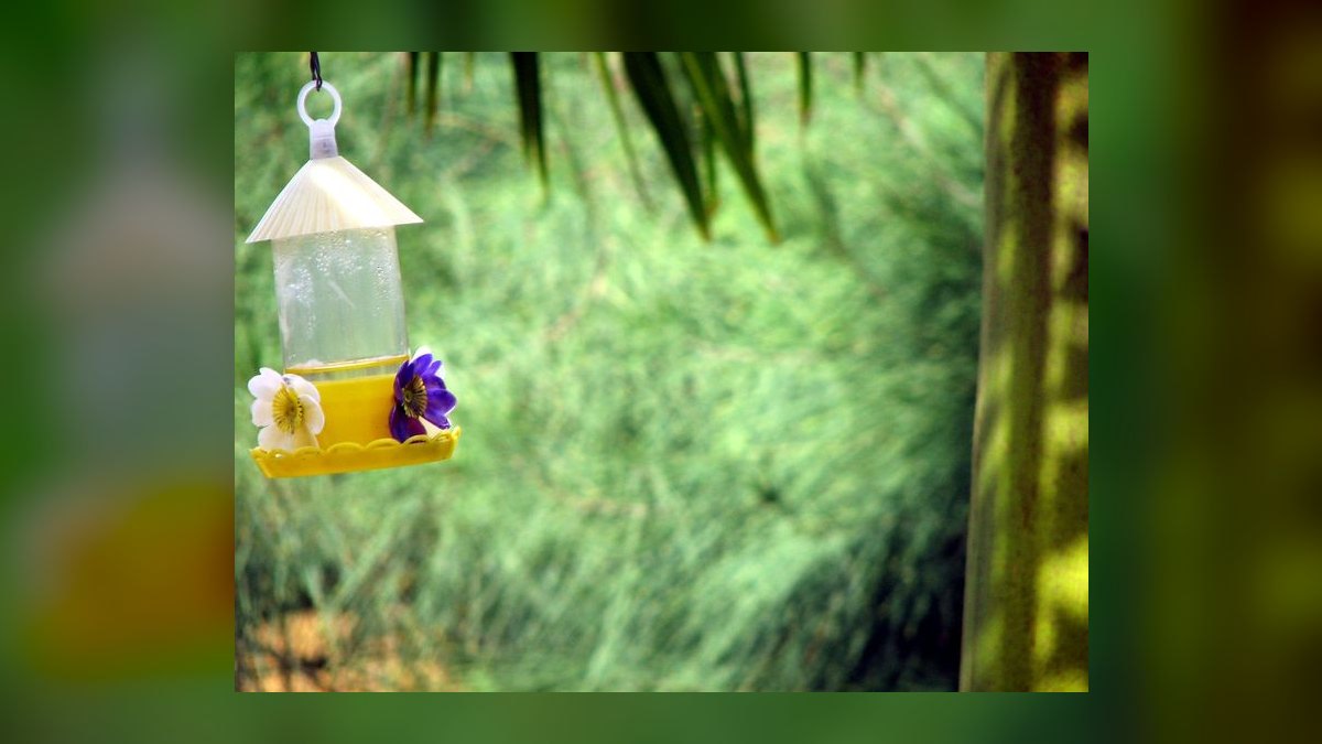 Top 10 Automatic Fish Feeders for Vacation-Proof Feeding in 2027