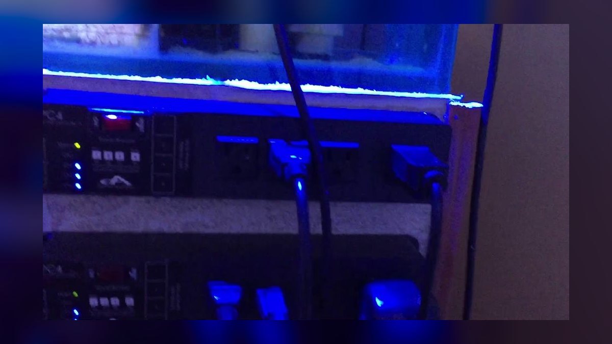 Top 10 Aquarium Controllers for Monitoring Temperature and pH in 2027 — figure 7