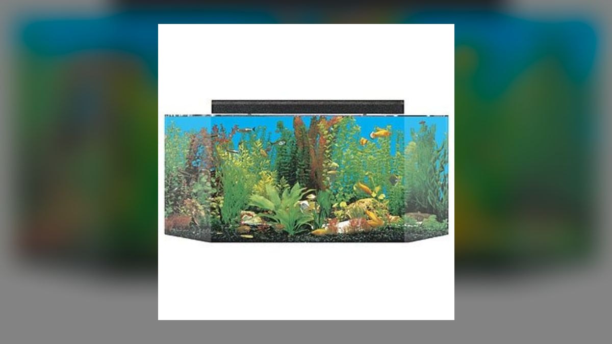 Top 10 Aquarium Stands for Bow-Front Tanks Under 75 Gallons in 2027 — figure 1