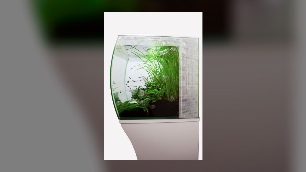 Top 10 Aquarium Stands for Bow-Front Tanks Under 75 Gallons in 2027 — figure 2