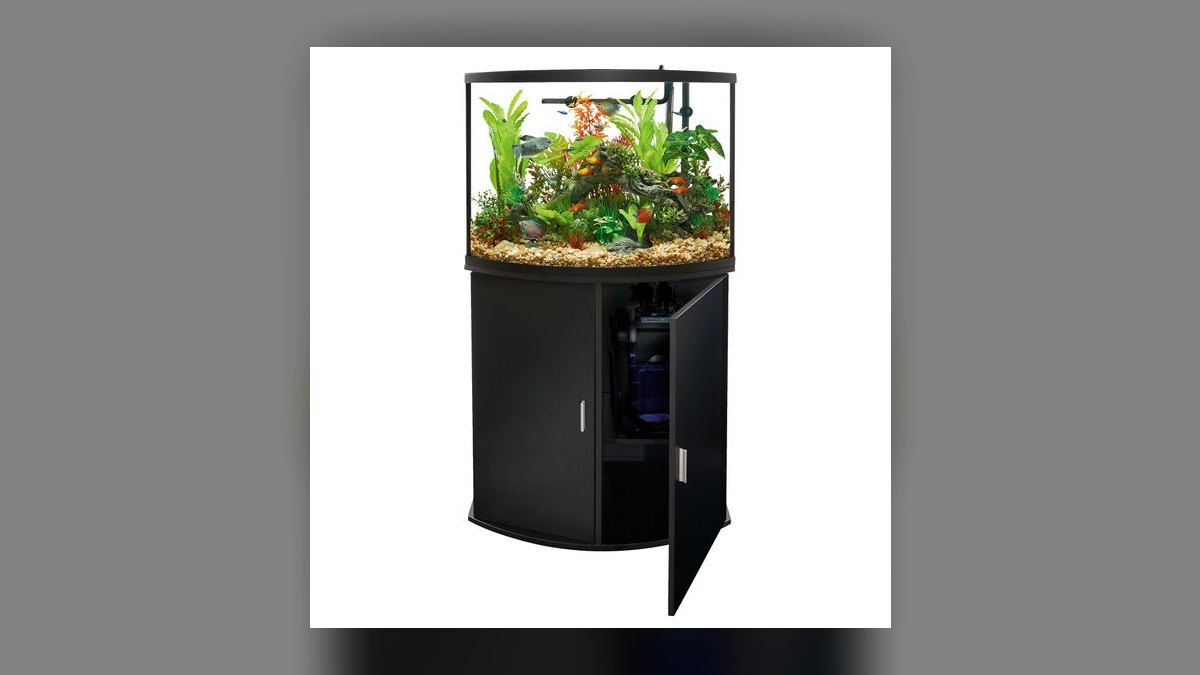 Top 10 Aquarium Stands for Bow-Front Tanks Under 75 Gallons in 2027 — figure 8