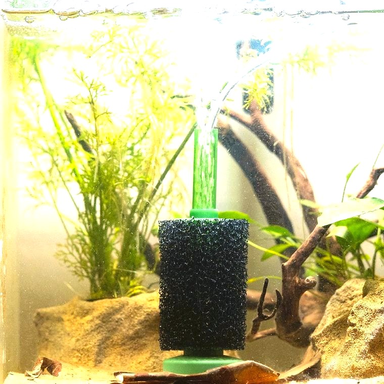JW Pet SmartFilter Sponge Filter