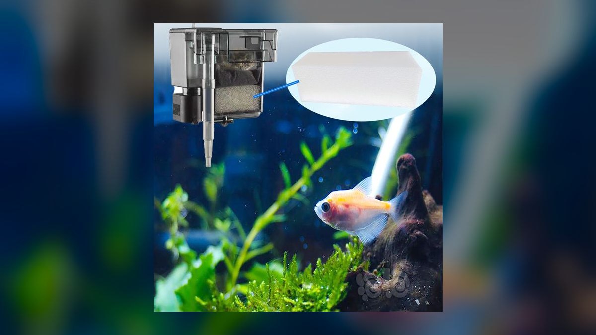Top 10 Sponge Filters for Fry Rearing and Betta Tanks in 2027 — figure 1