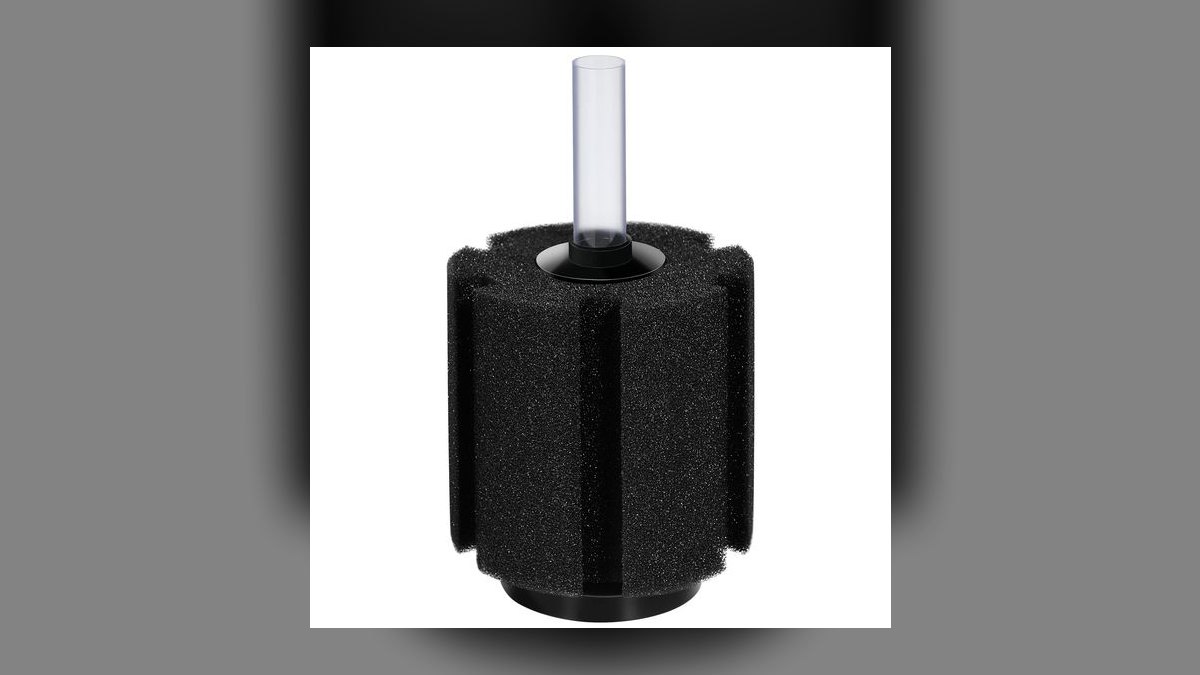 Top 10 Sponge Filters for Fry Rearing and Betta Tanks in 2027 — figure 6