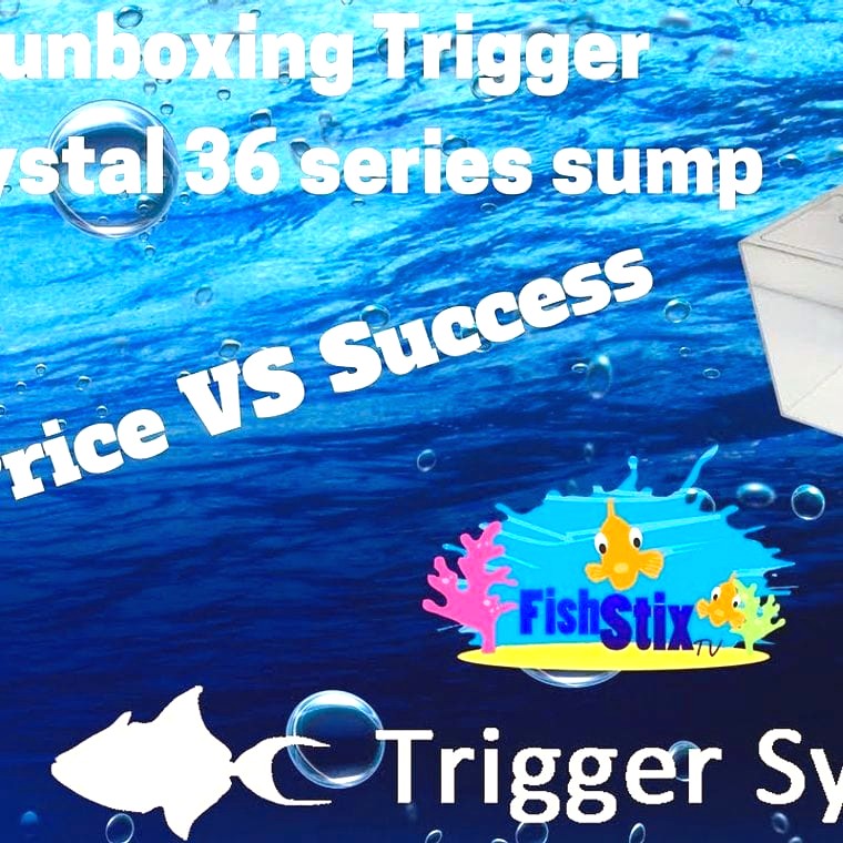 Trigger Systems Crystal 36