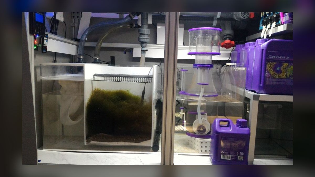 Top 10 Aquarium Sumps for Custom Reef Aquariums in 2027 — figure 4