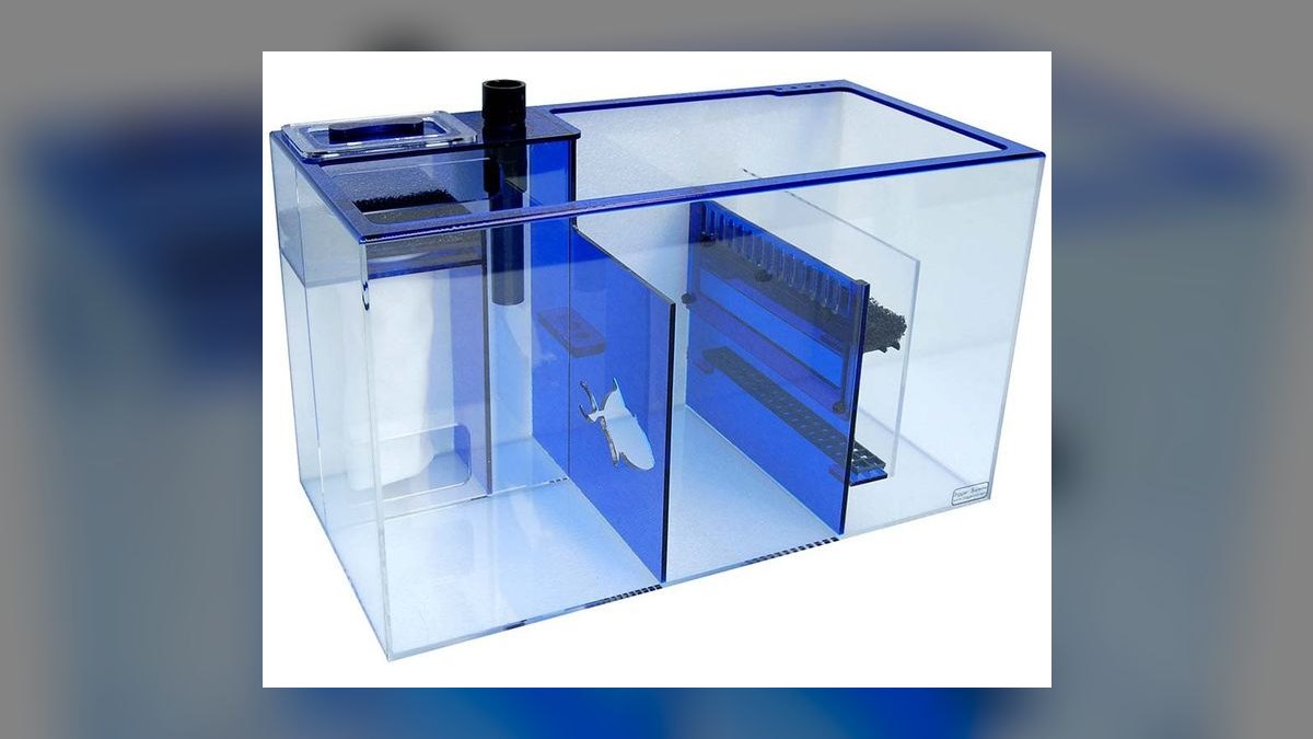 Top 10 Aquarium Sumps for Custom Reef Aquariums in 2027 — figure 6