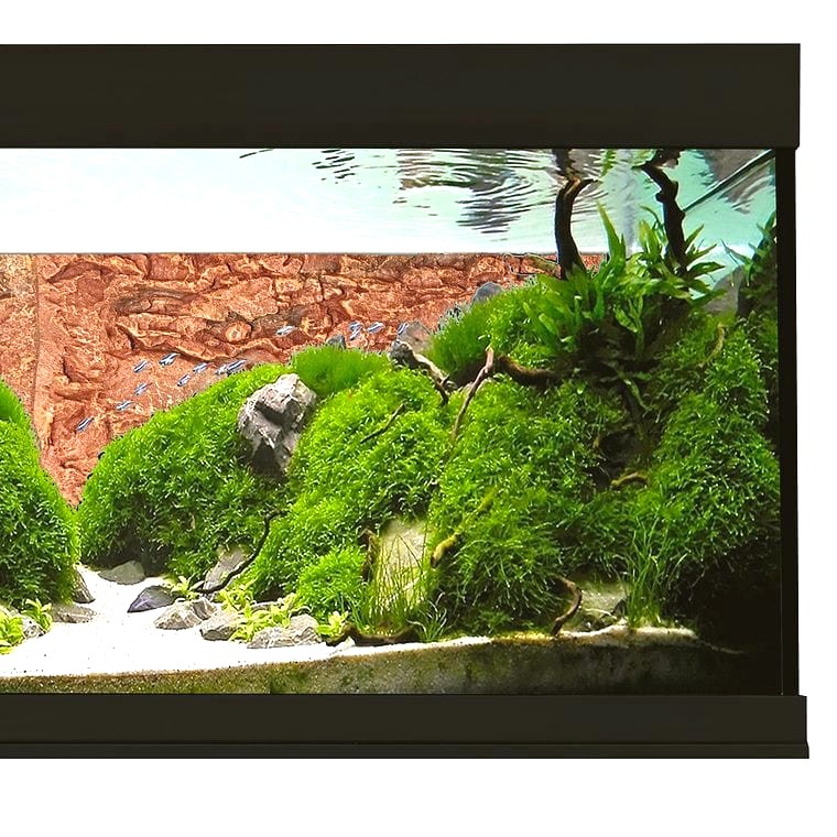 Aqua One 3D Rock Background
