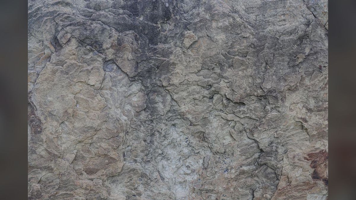 Top 10 Aquarium Backgrounds for 3D Rock Wall and Black-Back Effects in 2027