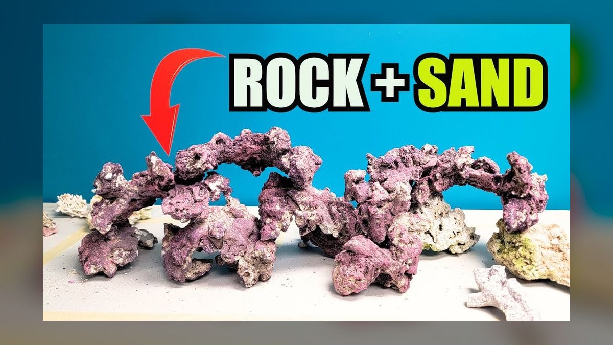 Top 10 Live Rock Types for Curing and Aquascaping a Reef Tank — figure 2