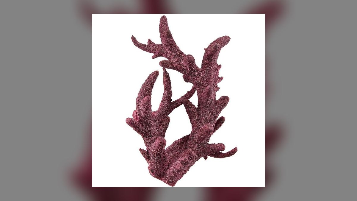 Top 10 Live Rock Types for Curing and Aquascaping a Reef Tank — figure 5