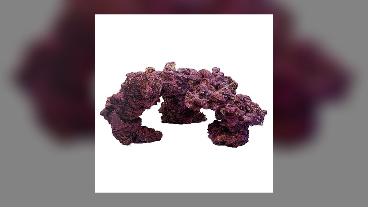 Top 10 Live Rock Types for Curing and Aquascaping a Reef Tank — figure 6