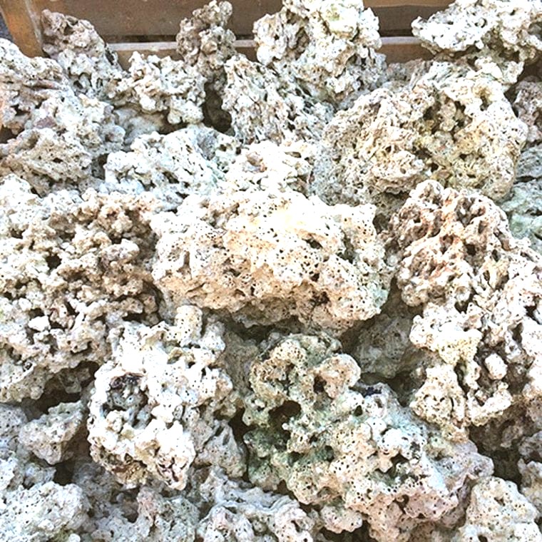 Dry Pukani Rock (from Bulk Reef Supply)