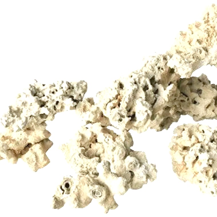 Dry Fiji Rock