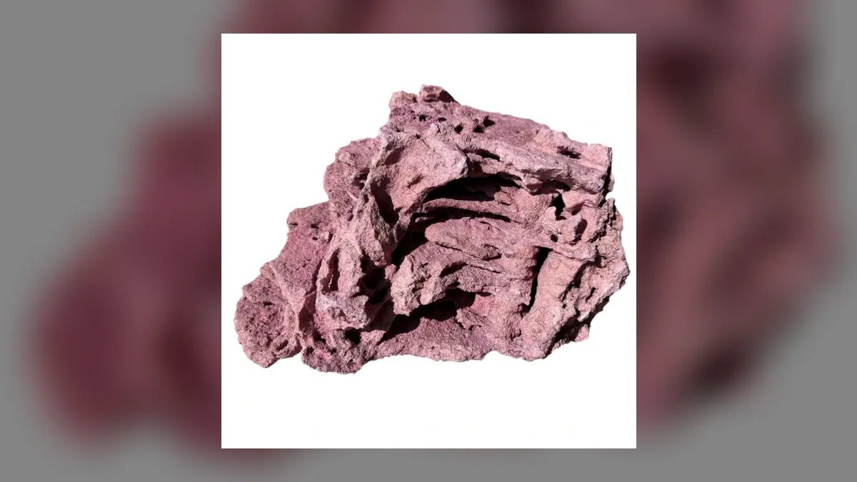 Top 10 Dry Rock Brands for Starting a New Saltwater Aquarium in 2027 — figure 10