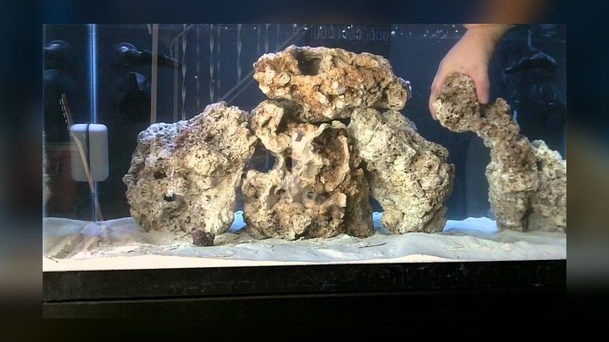 Top 10 Dry Rock Brands for Starting a New Saltwater Aquarium in 2027 — figure 8