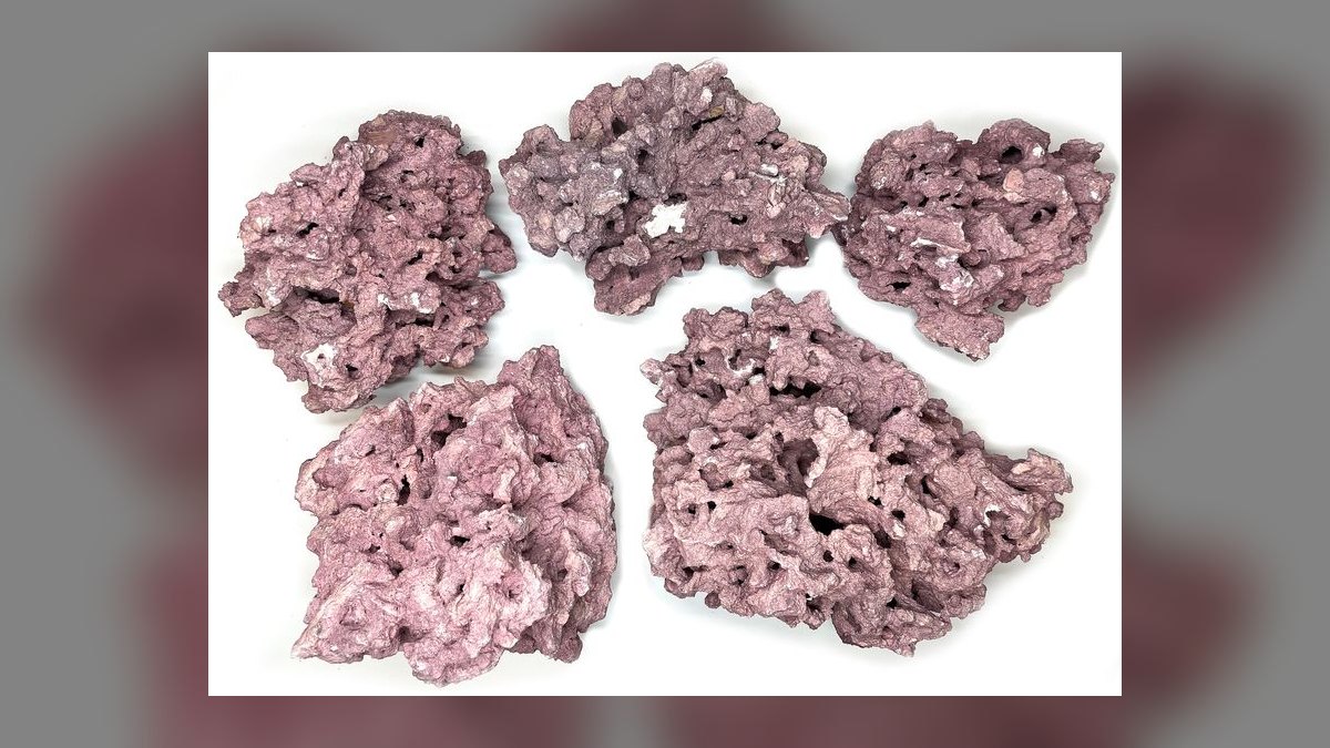 Top 10 Dry Rock Brands for Starting a New Saltwater Aquarium in 2027 — figure 9