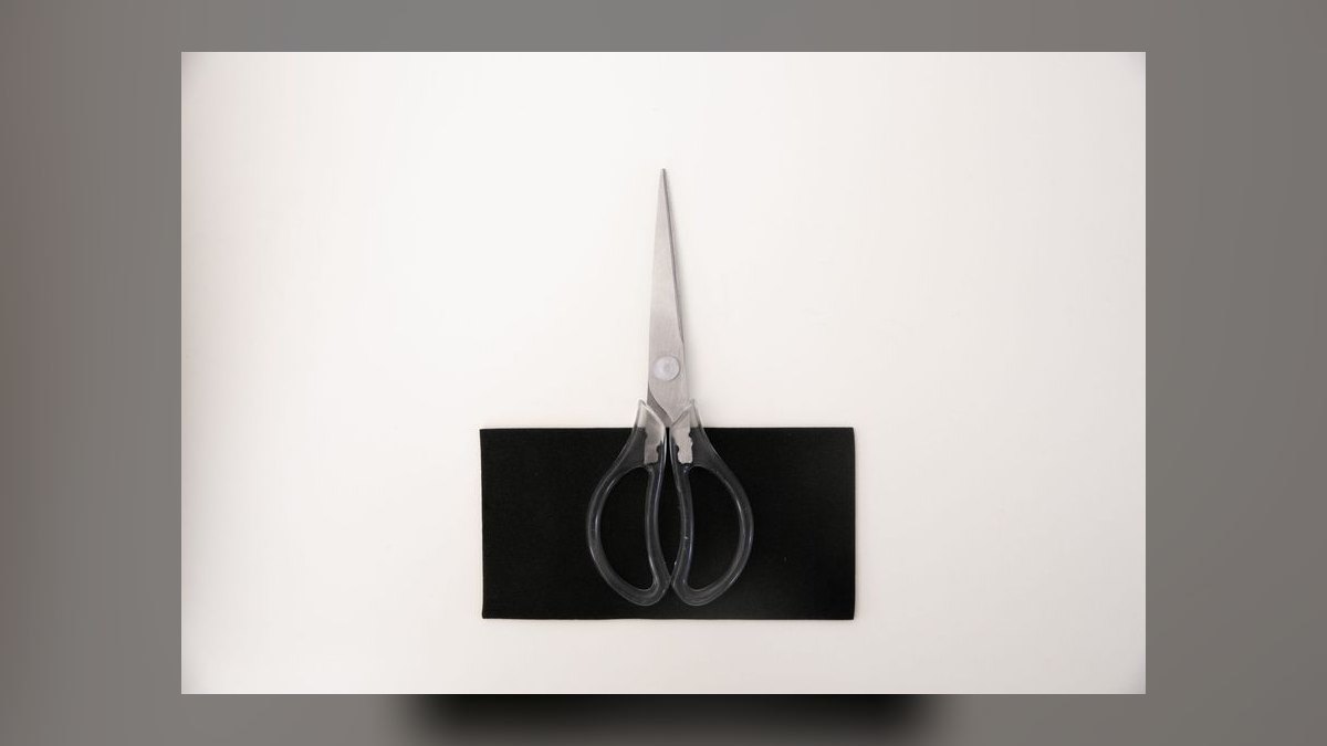 Top 10 Aquarium Tweezers and Scissors for Planted Tank Maintenance in 2027 — figure 9