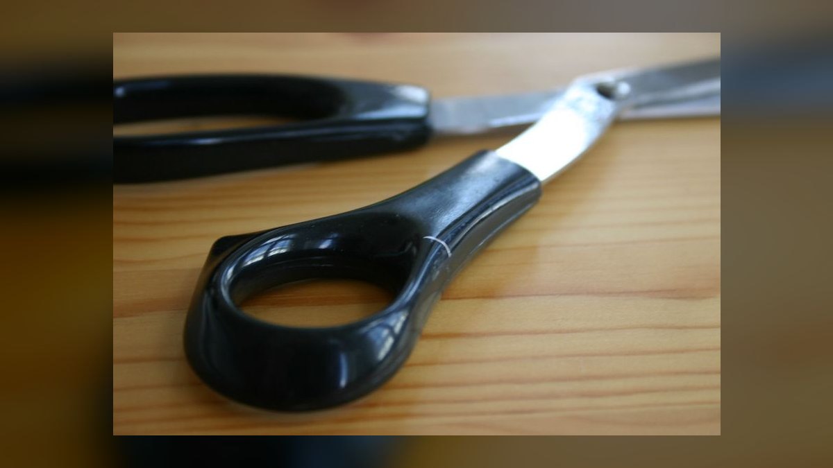 Top 10 Aquarium Tweezers and Scissors for Planted Tank Maintenance in 2027