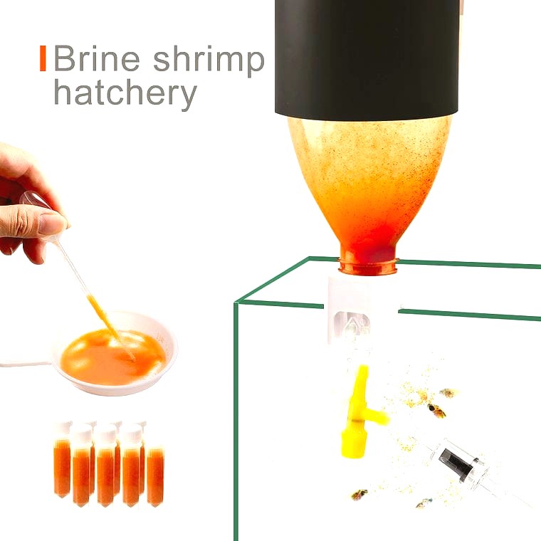 Brine Shrimp Hatchery by AquaClear