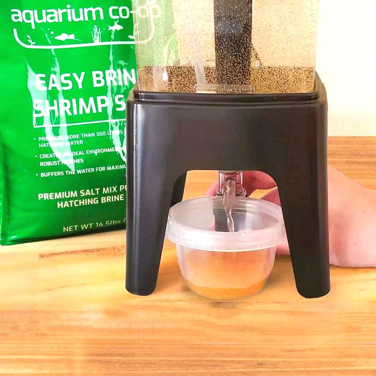 Ziss Aquaculture Brine Shrimp Hatchery