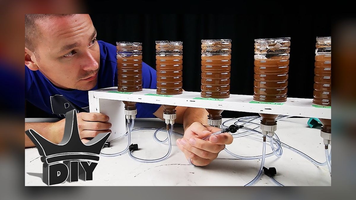 Top 10 Brine Shrimp Hatcheries for Live Food Enthusiasts in 2027 — figure 10