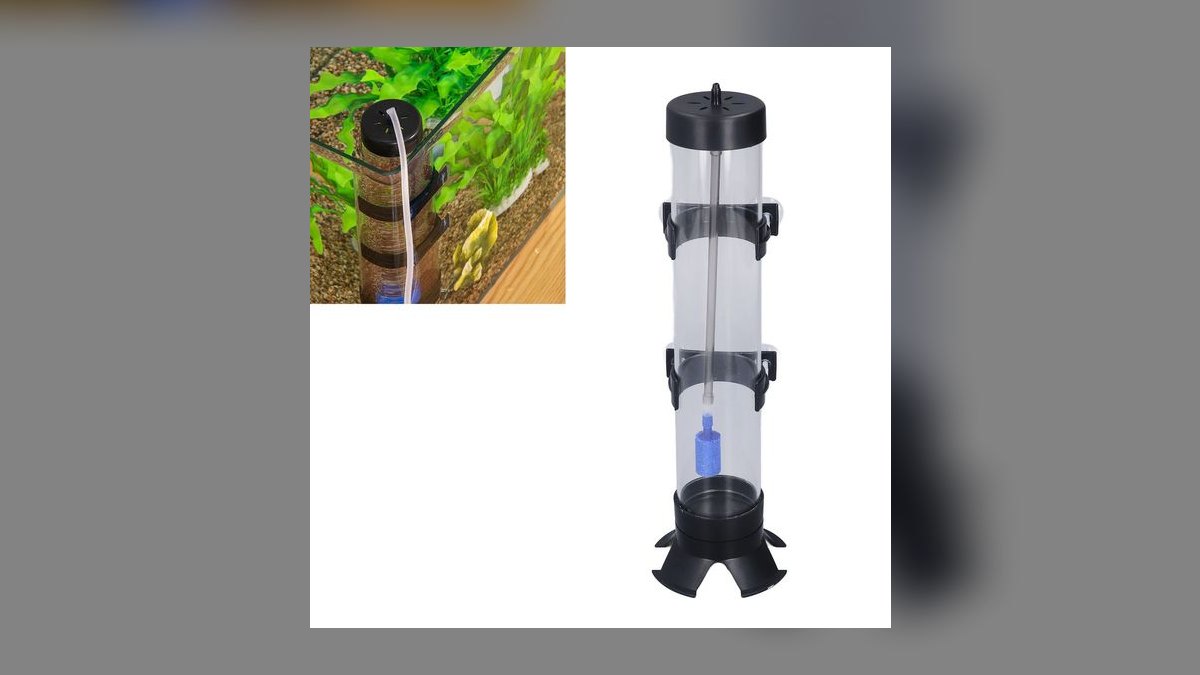 Top 10 Brine Shrimp Hatcheries for Live Food Enthusiasts in 2027 — figure 5