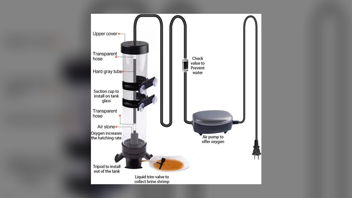 Top 10 Brine Shrimp Hatcheries for Live Food Enthusiasts in 2027 — figure 6