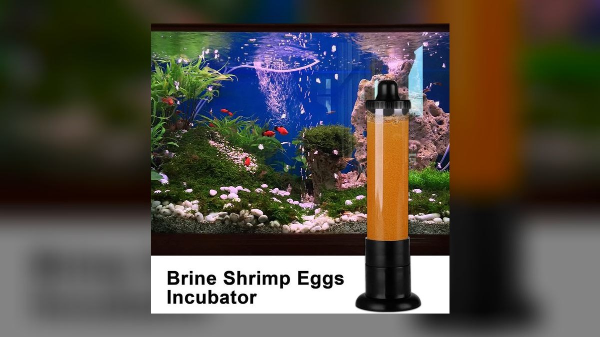 Top 10 Brine Shrimp Hatcheries for Live Food Enthusiasts in 2027 — figure 9