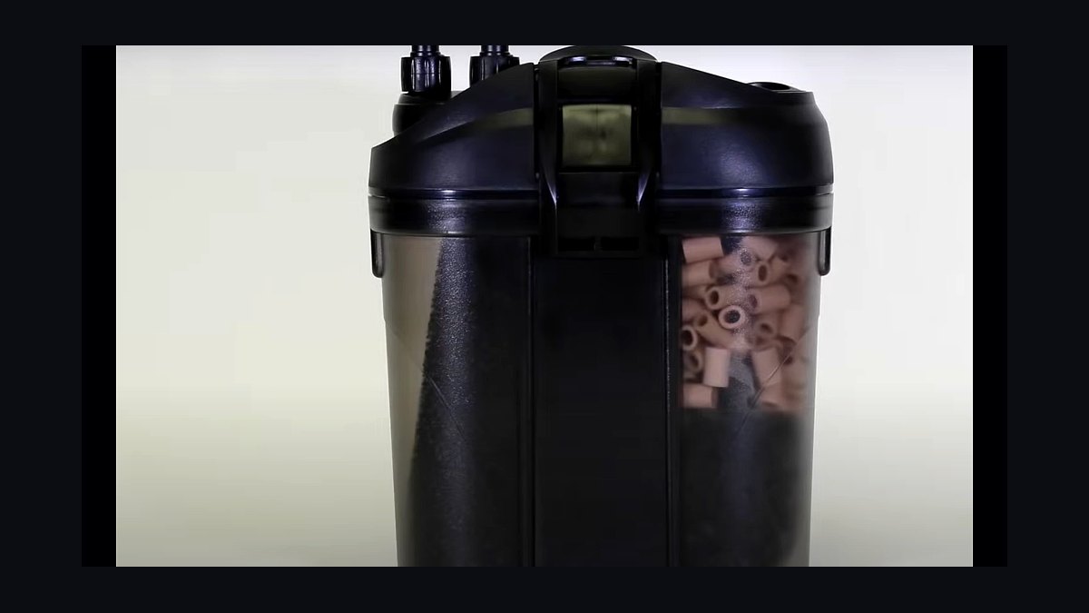 Top 10 Canister Filters for Freshwater Tanks Over 50 Gallons in 2027 — figure 10