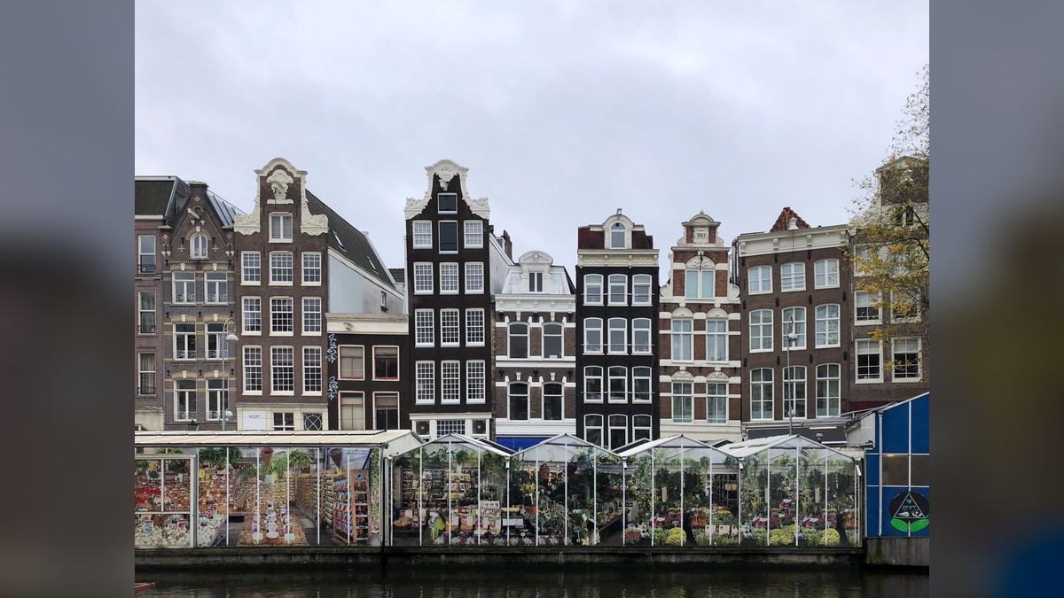 Top 10 Substrate Brands for Dutch-Style Planted Aquariums — figure 1