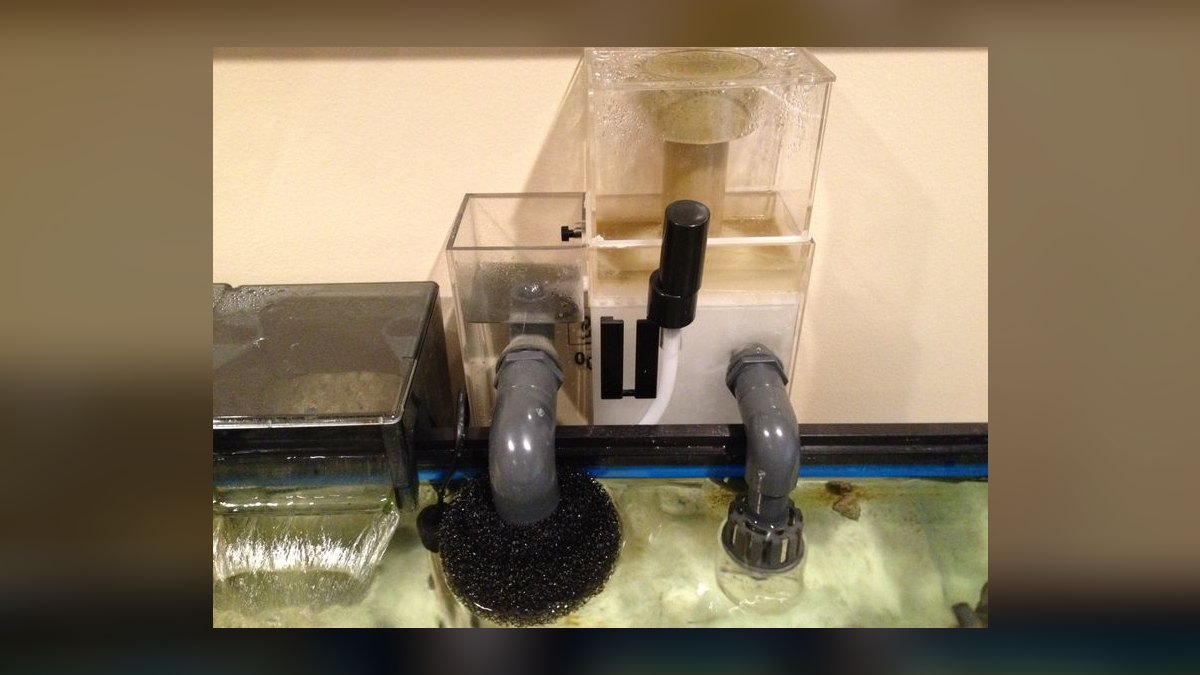 Top 10 Protein Skimmers for Reef Tanks Under 100 Gallons in 2027 — figure 5