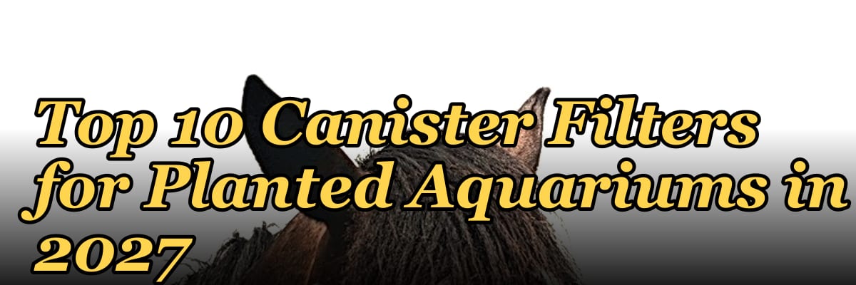 Top 10 Canister Filters for Planted Aquariums in 2027